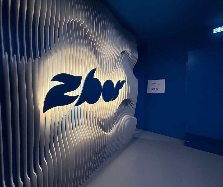 Natural light flooding Zbor Hub Timișoara